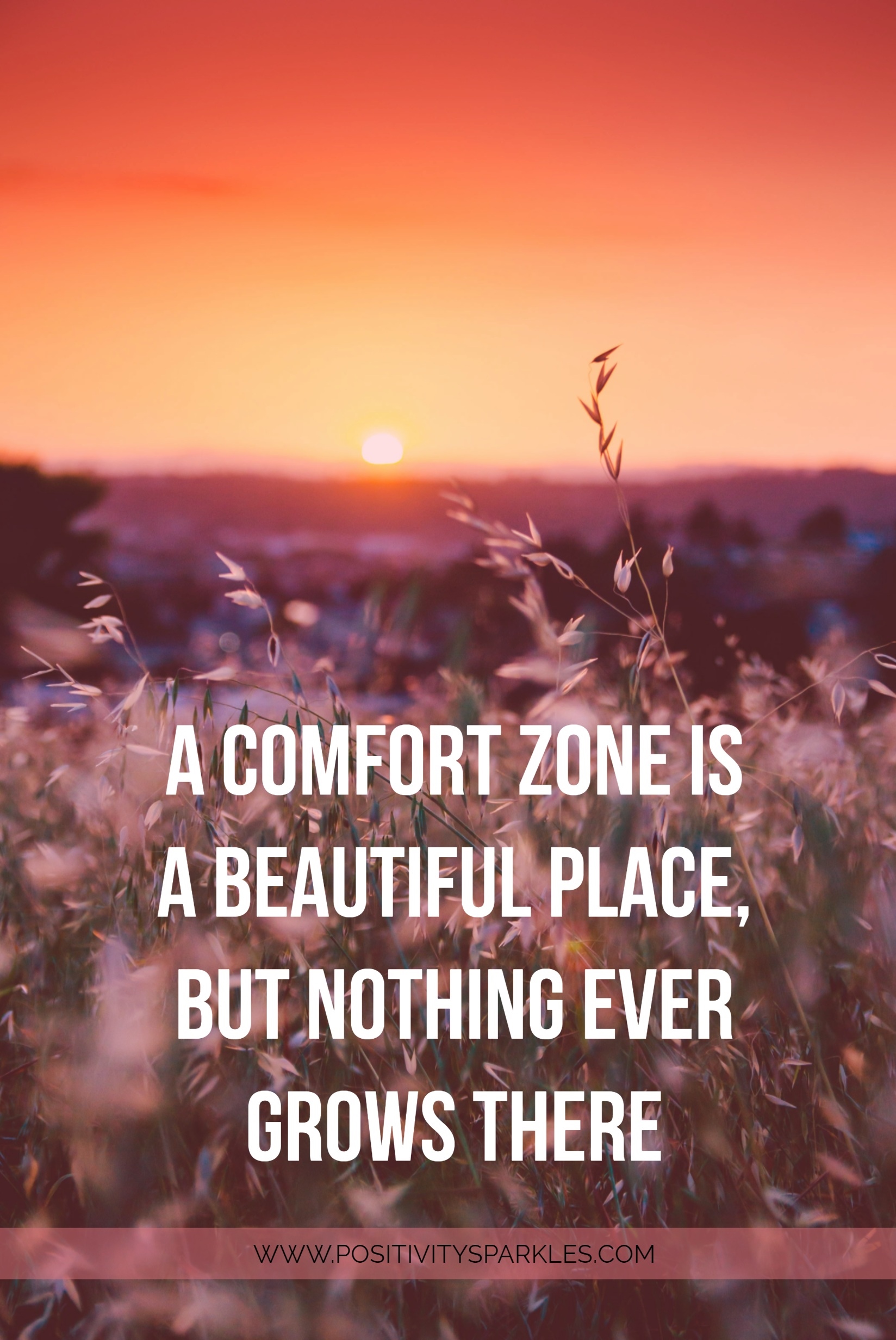 a comfort zone is a beautiful place but nothing grows there ...