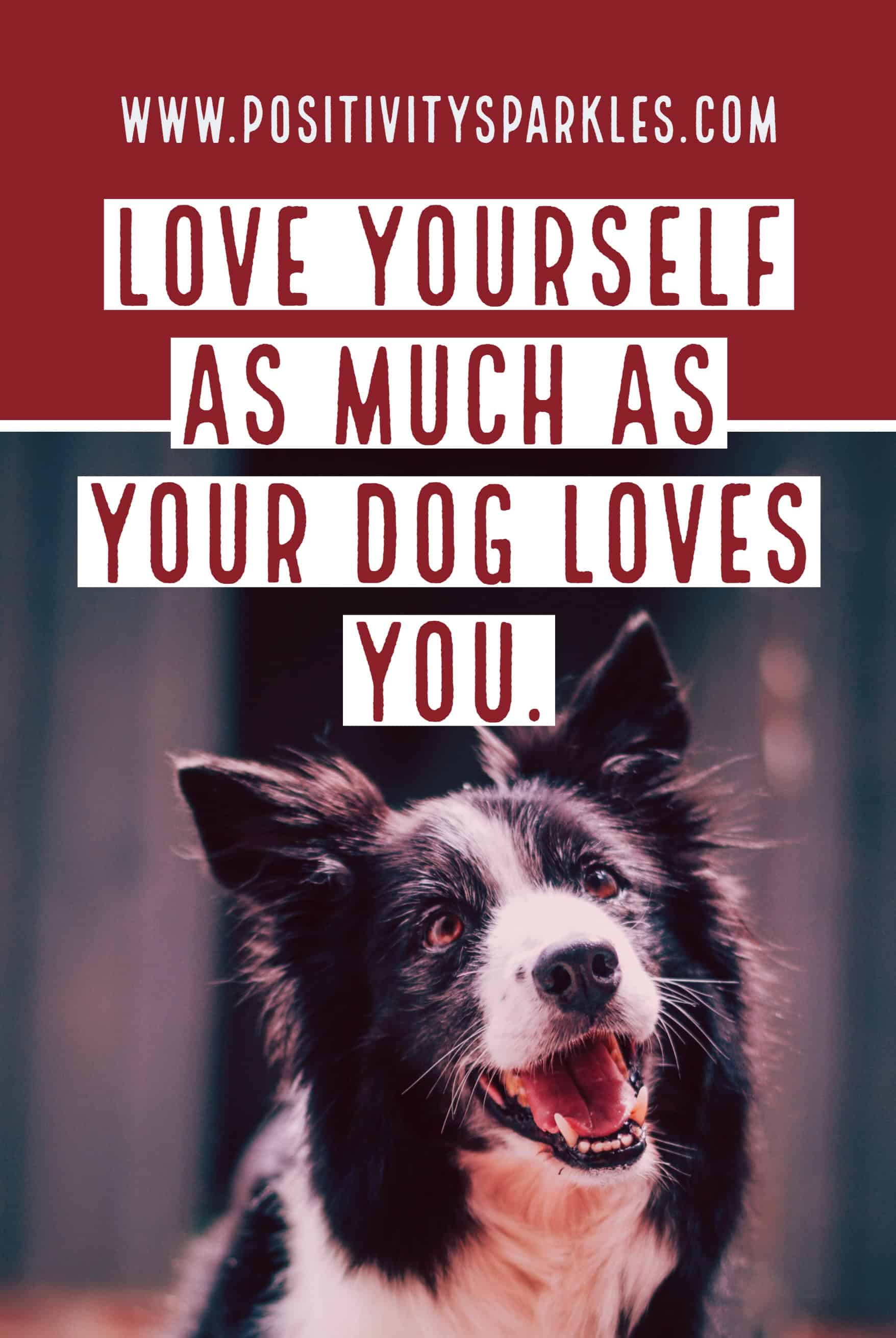 Love yourself as much as your dog loves you self love quotes