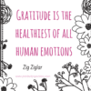Gratitude is the healthiest of all human emotions