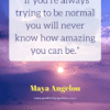 If you're always trying to be normal you will never know how amazing you can be maya angelou