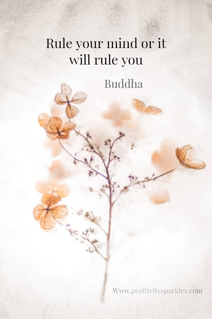Rule your mind or it will rule you buddha