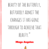 We delight in the beauty of the butterfly, but rarely admit the changes it has gone through to achieve that beauty Maya Angelou