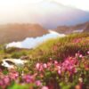 how to become the person you admire