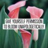 Give yourself permission to bloom unapologetically.
