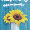 today is full of opportunities positivitysparkles