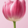 Let your differences empower you olya barnett positivitysparkles article1