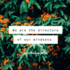 we are the directors of our mindsets positivitysparkles