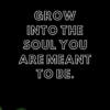 grow into the soul you are meant to be positivitysparkles quote