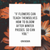 if flowers can teach themselves how to bloom after winter passes so can you positivitysparkles