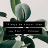 always-be-kinger-than-you-feel-quote-positivitysparkles