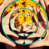 How 20 Minutes of Daily Self-Reflection Can Change Your Life