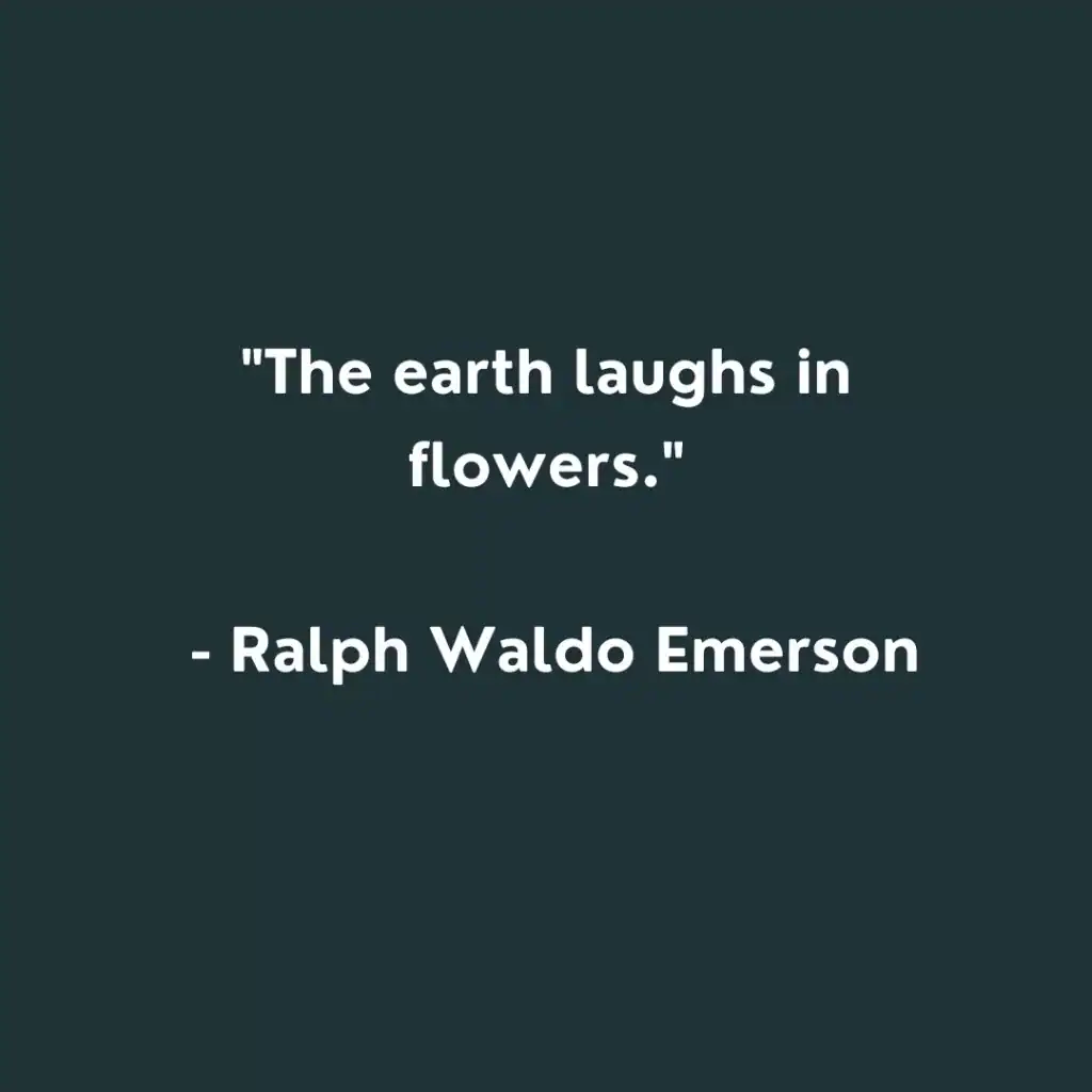 Spring quotes