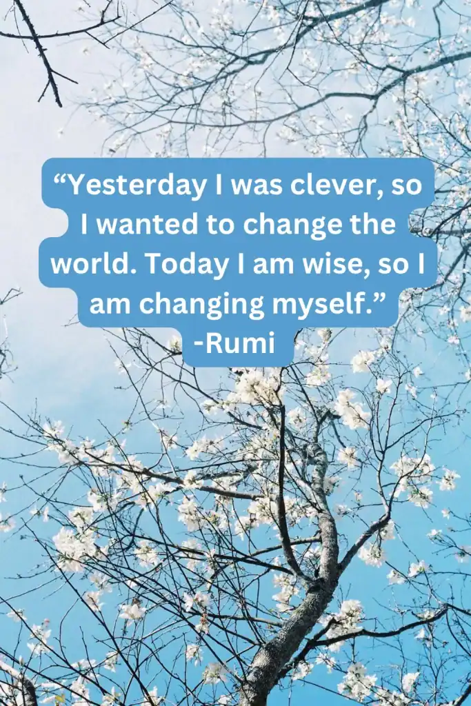 Quote of the day