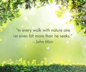 Quotes